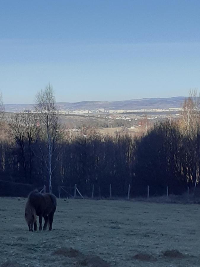 Pensiunea Natura Sadu Sibiu Eksteriør billede