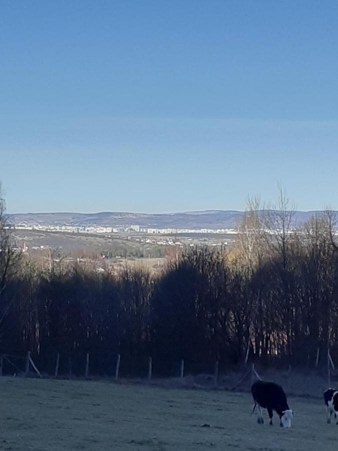 Pensiunea Natura Sadu Sibiu Eksteriør billede