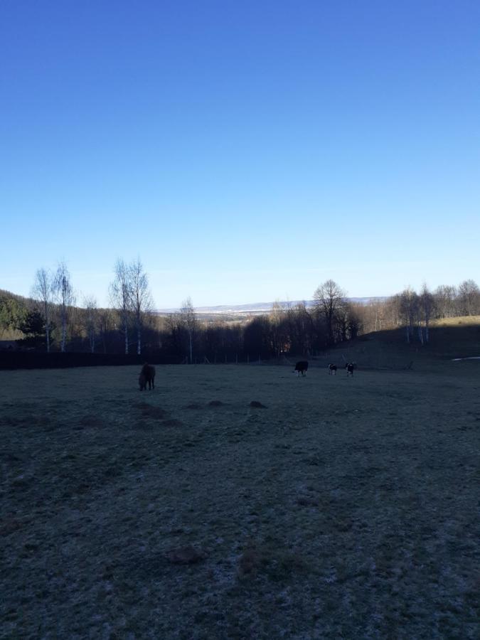 Pensiunea Natura Sadu Sibiu Eksteriør billede