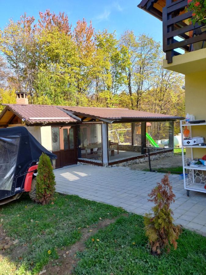 Pensiunea Natura Sadu Sibiu Eksteriør billede